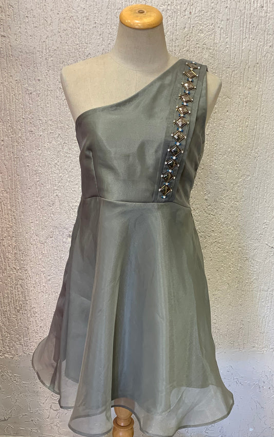 Fossil Grey Organza Dress