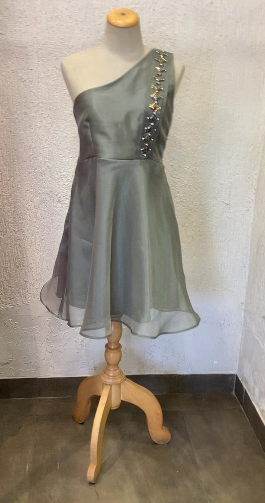 Fossil Grey Organza Dress